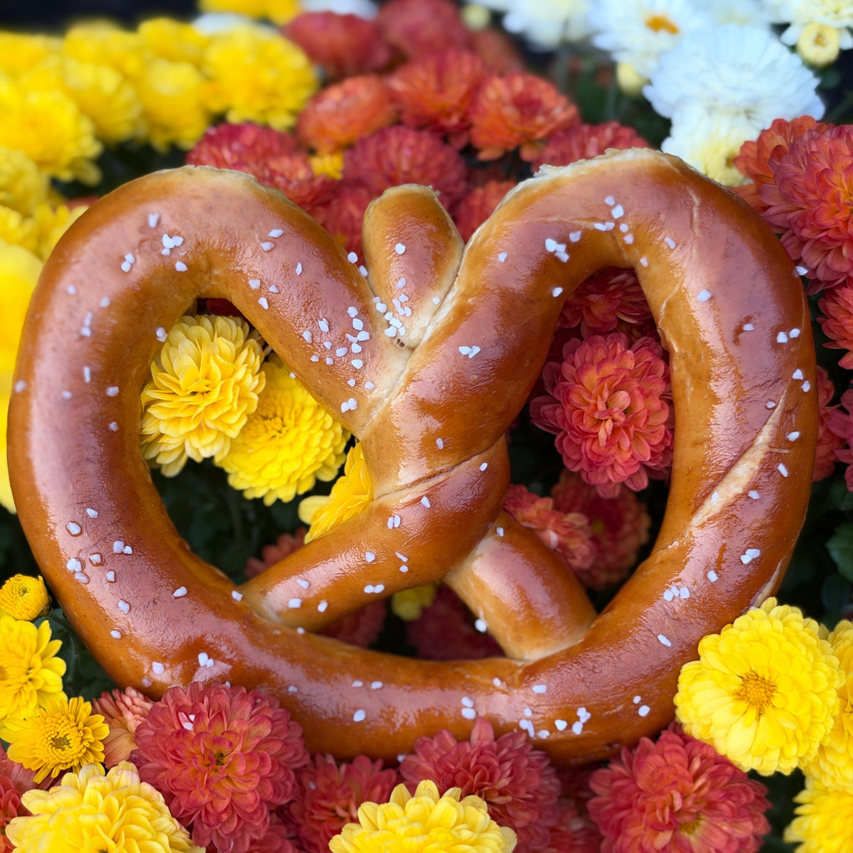 Pumpkin Pretzel Box (ships 10/26-10/28)