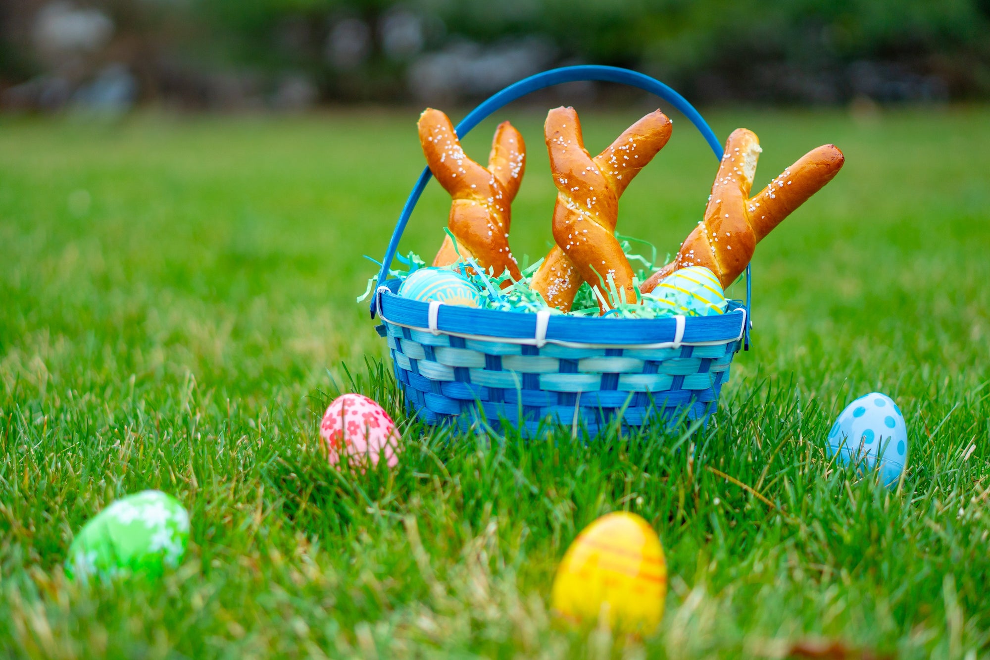 The Bavarian Bunny Box (Shipping begins 4/6)