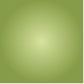 Wasabi Mustard